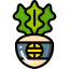 Radish icon 64x64
