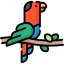 Parrot icon 64x64