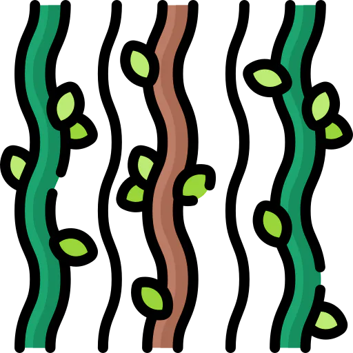 Vine icon