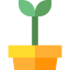 Sprout icon 64x64