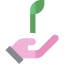 Sprout icon 64x64