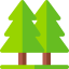 Pine icon 64x64