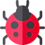 Ladybug icon 64x64