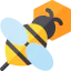 Bee icon 64x64