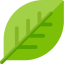 Leaf icon 64x64