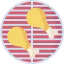 Barbecue icon 64x64
