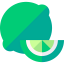 Lime icon 64x64