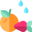 Fruit icon 64x64