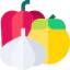Vegetable icon 64x64