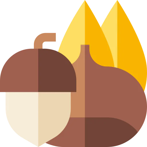 Nuts icon