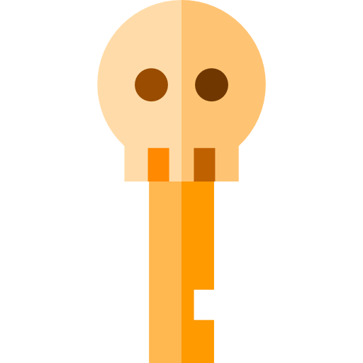 Key icon