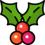 Holly icon 64x64
