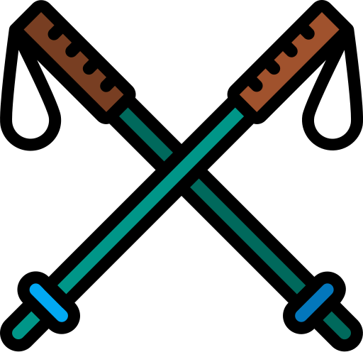 Ski icon