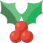 Holly icon 64x64
