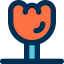 Tulip icon 64x64