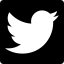 Twitter social logotype icon 64x64
