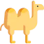 Camel icon 64x64