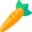 Carrot icon 64x64