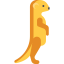Meerkat icon 64x64
