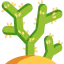 Cactus icon 64x64
