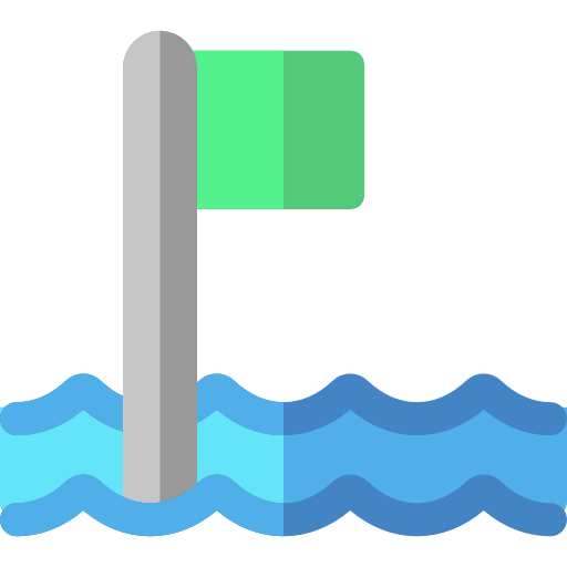 Flags icon