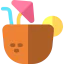 Coconut drink icon 64x64