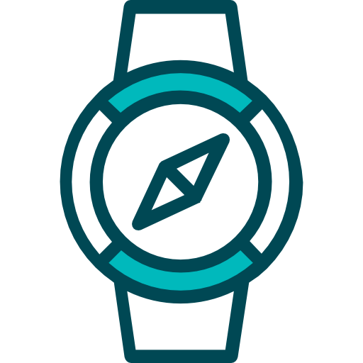 Compass icon