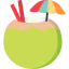 Coconut icon 64x64