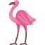 Flamingo icon 64x64