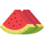 Watermelon icon 64x64