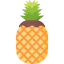 Pineapple icon 64x64