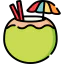 Coconut icon 64x64