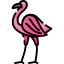 Flamingo icon 64x64