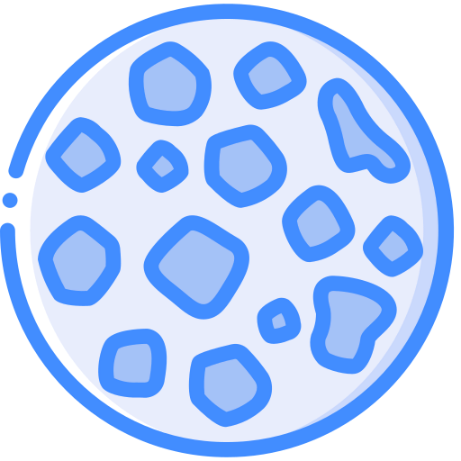 Biscuit icon