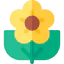 Flower icon 64x64