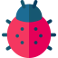 Ladybug icon 64x64