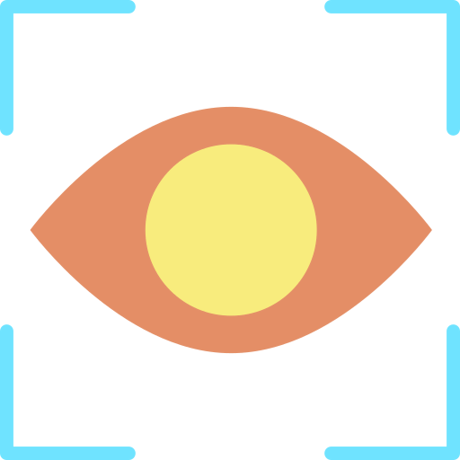 Vision icon