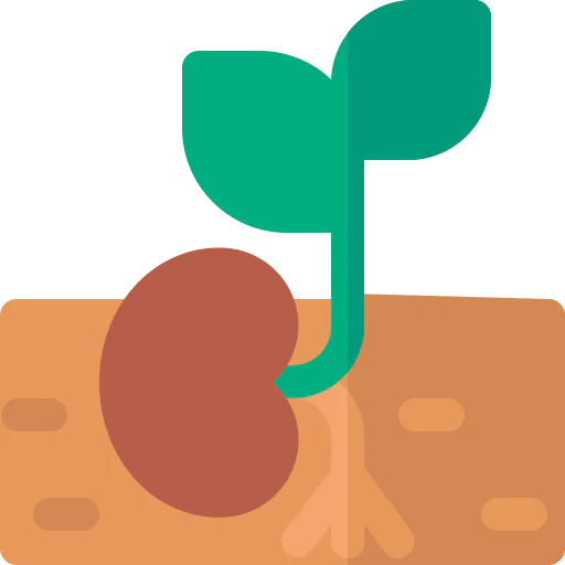 Seed icon