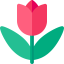Tulip icon 64x64