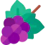 Grapes icon 64x64