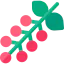 Berries icon 64x64