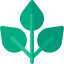 Leaves icon 64x64