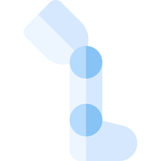 Prosthetic icon