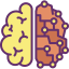 Brain icon 64x64