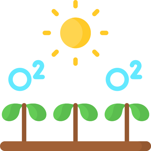 Oxygen icon