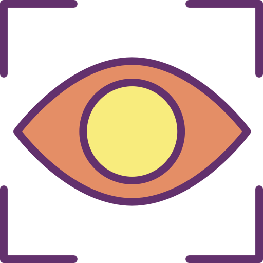 Vision icon