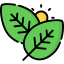Leaves icon 64x64