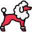 Poodle icon 64x64