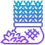 Barley icon 64x64