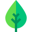 Leaf icon 64x64